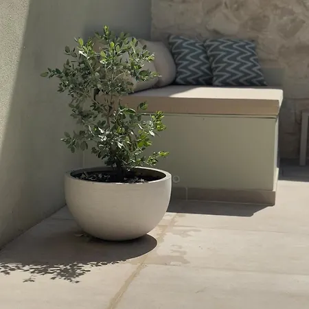 Villa Alky Luxury *