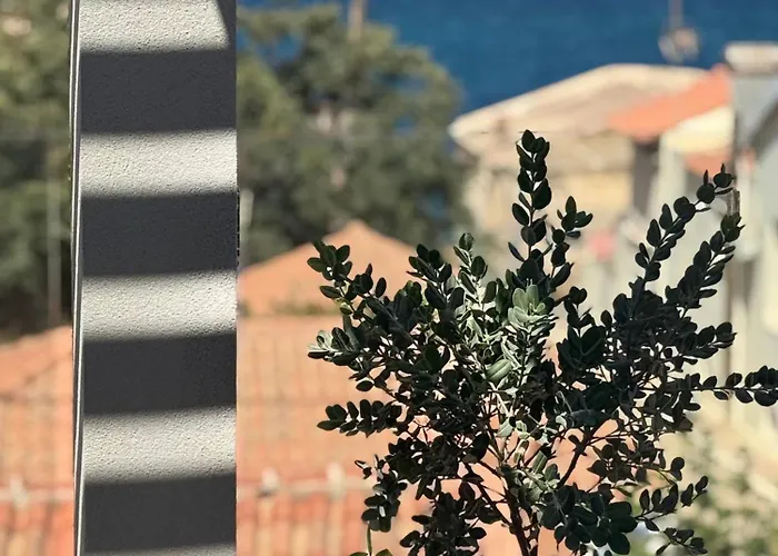 فيلة Alky Luxury